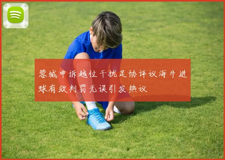蓉城申诉越位干扰足协评议海牛进球有效判罚无误引发热议