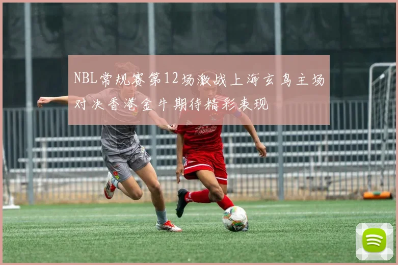 NBL常规赛第12场激战上海玄鸟主场对决香港金牛期待精彩表现
