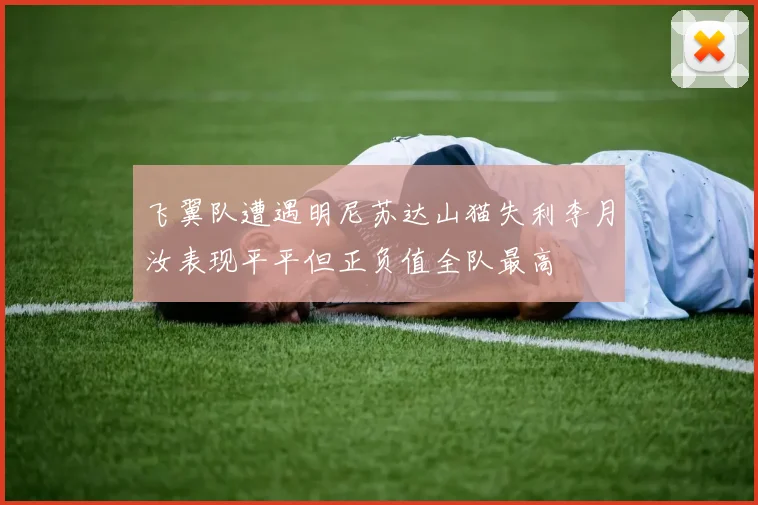 飞翼队遭遇明尼苏达山猫失利李月汝表现平平但正负值全队最高